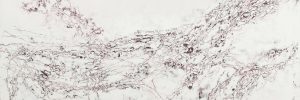 COMPAC©_IDENTITY_GENESIS_ICE MAX VIOLA_high